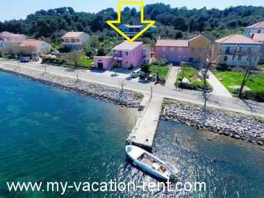 Appartamento Veli Rat Isola di Dugi Otok Dalmazia Croazia #6574
