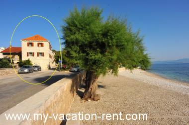 Appartamenti Piv - 10 m from beach: Croazia - Dalmazia - Isola di Brac - Sutivan - appartamento #1409 Immagine 1