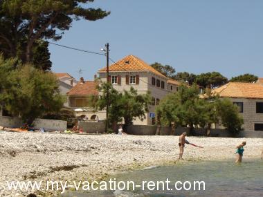 Appartamenti Piv - 10 m from beach: Croazia - Dalmazia - Isola di Brac - Sutivan - appartamento #1409 Immagine 3