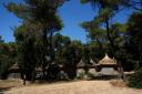 A2 bungalov Croazia - Dalmazia - Zadar - Pakostane - holiday resort #150 Immagine 3