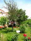Appartamenti Nika - nice garden: Croazia - Dalmazia - Zadar - Nin - appartamento #1996 Immagine 6