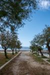 Appartamenti Mir - close to beach: Croazia - Dalmazia - Split - Duce - appartamento #2000 Immagine 8