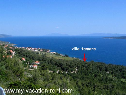 Appartamenti Villa Tamara Croazia - Dalmazia - Isola di Lesina - Zavala - appartamento #203 Immagine 1