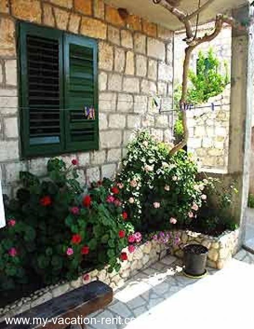 Appartamenti kod Jure i Marije Croazia - Dalmazia - Isola di Lesina - Sucuraj - appartamento #221 Immagine 5