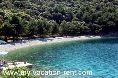 Appartamenti Griv - close to the sea: Croazia - Quarnaro - Isola di Cherso - Valun - appartamento #2387 Immagine 12