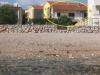 Appartamenti Mira - 20 m from pebble beach: Croazia - Dalmazia - Sibenik - Zaboric - appartamento #2436 Immagine 14