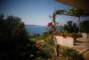 Appartamenti Ana - sea view; Croazia - Dalmazia - Isola di Lesina - Zavala - appartamento #3129 Immagine 11