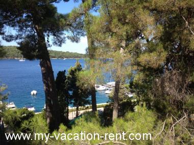 Appartamento Mali Losinj Isola di Lussino Quarnaro Croazia #3580