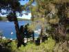 Appartamenti Pero - 80 m from sea: Croazia - Quarnaro - Isola di Lussino - Mali Losinj - appartamento #3580 Immagine 8