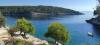 Appartamenti Ivano - 20 m from Sea: Croazia - Dalmazia - Isola di Brac - Cove Osibova (Milna) - appartamento #4035 Immagine 19