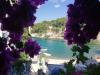 A2(4) Croazia - Dalmazia - Isola di Solta - Cove Banje (Rogac) - appartamento #4050 Immagine 9