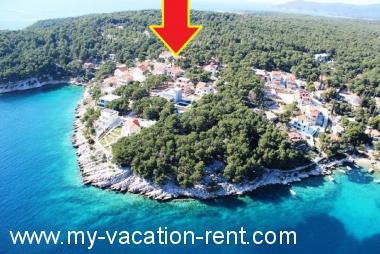 Appartamento Cove Osibova (Milna) Isola di Brac Dalmazia Croazia #4144