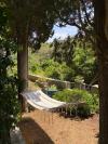 Casa vacanze Sunce - relaxing & quiet: Croazia - Dalmazia - Isola di Solta - Maslinica - casa vacanze #4226 Immagine 16