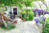 Casa vacanze Zeljko - with nice garden: Croazia - Dalmazia - Isola di Lesina - Sucuraj - casa vacanze #4374 Immagine 11