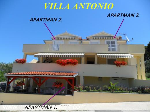 Appartamenti VILLA ANTONIO Croazia - Dalmazia - Zadar - Drage - appartamento #440 Immagine 1