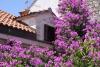 Casa vacanze Davor - relaxing and great location house : Croazia - Dalmazia - Isola di Brac - Sutivan - casa vacanze #4793 Immagine 11