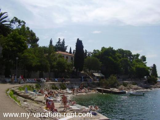 Casa vacanze Ante Romaldo Croazia - Dalmazia - Isola di Lesina - Hvar - casa vacanze #495 Immagine 5