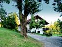 Casa vacanze Self Catering Holiday House Slovenia - Gorenjska - Bled - casa vacanze #515 Immagine 10