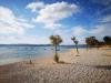 Appartamenti Sveto - 400 m from beach: Croazia - Dalmazia - Zadar - Biograd - appartamento #5763 Immagine 9