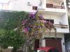 Appartamenti Zvone - 50 M from the sea :  Croazia - Dalmazia - Split - Sumpetar - appartamento #6015 Immagine 4