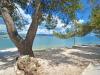 Appartamenti Aurelija - 20 m from beach: Croazia - Dalmazia - Isola di Ciovo - Arbanija - appartamento #6070 Immagine 10