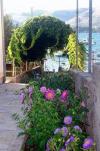 Appartamenti Antonia - 5 m from sea :  Croazia - Dalmazia - Isola di Ciovo - Okrug Gornji - appartamento #6269 Immagine 12