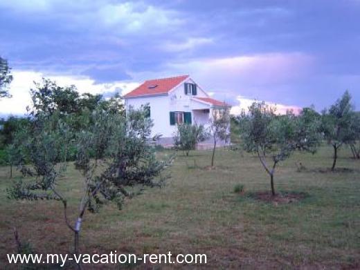 Casa vacanze Olive House Croazia - Dalmazia - Zadar - Privlaka - casa vacanze #634 Immagine 5