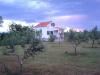 Casa vacanze Olive House Croazia - Dalmazia - Zadar - Privlaka - casa vacanze #634 Immagine 9