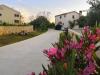 Appartamenti Ljilja - 250 m from blue flag beach: Croazia - Dalmazia - Zadar - Zaton (Zadar) - appartamento #6401 Immagine 14