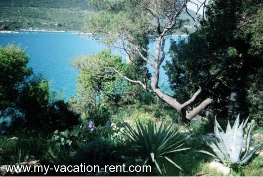 Appartamenti na privatnom otoku u Malom Stonu Croazia - Dalmazia - Dubrovnik - Mali Ston - appartamento #641 Immagine 4