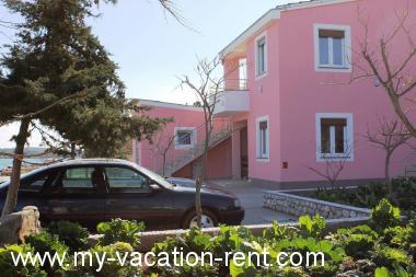Appartamenti Zvone1  - at the water front: Croazia - Dalmazia - Isola di Dugi Otok - Veli Rat - appartamento #6574 Immagine 7