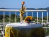 Casa vacanze Lina Croazia - Dalmazia - Dubrovnik - Brsecine - casa vacanze #661 Immagine 10