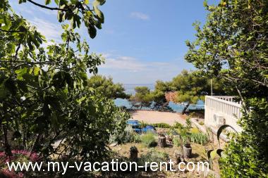 Appartamenti Djurdja - 20 m from beach : Croazia - Dalmazia - Isola di Murter - Murter - appartamento #6815 Immagine 8