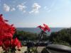 Appartamenti Djurdja - 20 m from beach : Croazia - Dalmazia - Isola di Murter - Murter - appartamento #6815 Immagine 15