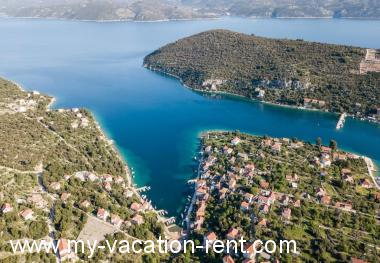 Appartamenti Ivica - 100m from the sea  Croazia - Dalmazia - Isola di Drvenik Veli - Drvenik Veli (Island Drvenik Veli) - appartamento #6844 Immagine 6