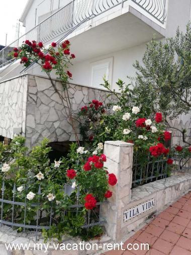 Appartamenti Vida with garden: Croazia - Dalmazia - Peljesac - Orebic - appartamento #7125 Immagine 6