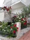 Appartamenti Vida with garden: Croazia - Dalmazia - Peljesac - Orebic - appartamento #7125 Immagine 25