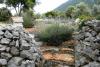 Casa vacanze Sage - rustic dalmatian peace Croazia - Dalmazia - Dubrovnik - Trpanj - casa vacanze #7195 Immagine 17