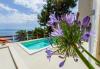 Appartamenti Fran - pool view: Croazia - Dalmazia - Isola di Brac - Selca - appartamento #7242 Immagine 20