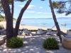 Casa vacanze Periska - on the beach : Croazia - Dalmazia - Isola di Brac - Mirca - casa vacanze #7260 Immagine 20