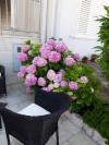 Appartamenti Mira - comfy with garden : Croazia - Dalmazia - Dubrovnik - Dubrovnik - appartamento #7310 Immagine 14