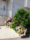 Appartamenti Mira - comfy with garden : Croazia - Dalmazia - Dubrovnik - Dubrovnik - appartamento #7310 Immagine 14