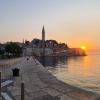 Appartamenti Berto - 500m to the beach: Croazia - Istria - Rovigno - Rovinj - appartamento #7382 Immagine 9