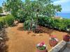 Casa vacanze Lumos - panoramic view & olive garden: Croazia - Dalmazia - Isola di Brac - Postira - casa vacanze #7415 Immagine 17