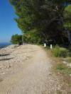 Casa vacanze More - sea view: Croazia - Dalmazia - Isola di Solta - Maslinica - casa vacanze #7501 Immagine 15