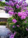 Appartamenti Viki - seaview & garden terrace: Croazia - Dalmazia - Makarska - Makarska - appartamento #7529 Immagine 6