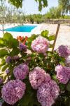 Camere B&B Linda - with pool: Croazia - Dalmazia - Sibenik - Pirovac - camera ospiti #7698 Immagine 10