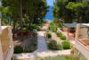 Appartamenti Dino - gorgeous garden Croazia - Dalmazia - Isola di Lesina - Zavala - appartamento #7703 Immagine 27