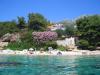 Appartamenti Dino - gorgeous garden Croazia - Dalmazia - Isola di Lesina - Zavala - appartamento #7703 Immagine 27