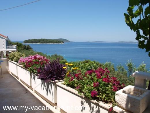 Appartamenti Villa Peggy Croazia - Dalmazia - Isola di Solta - Maslinica - appartamento #956 Immagine 1